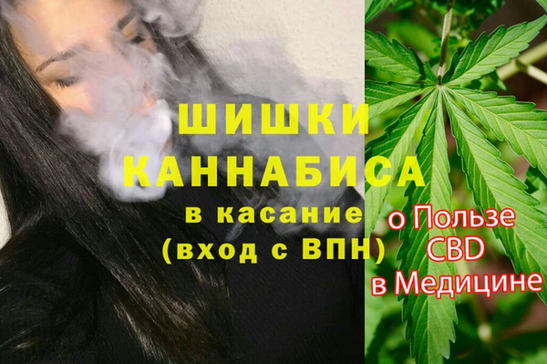 мдпв Верея