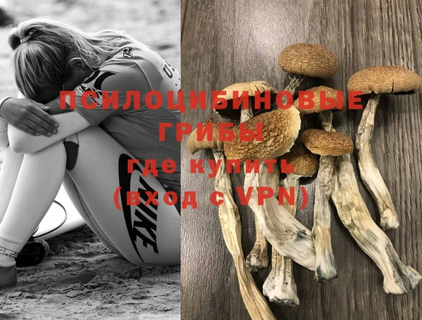 ALPHA-PVP Рославль